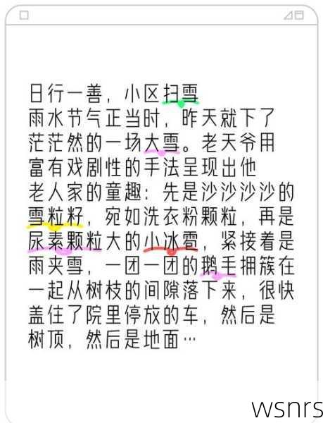 探寻柏雪吧，一个粉丝社区的温暖与变迁